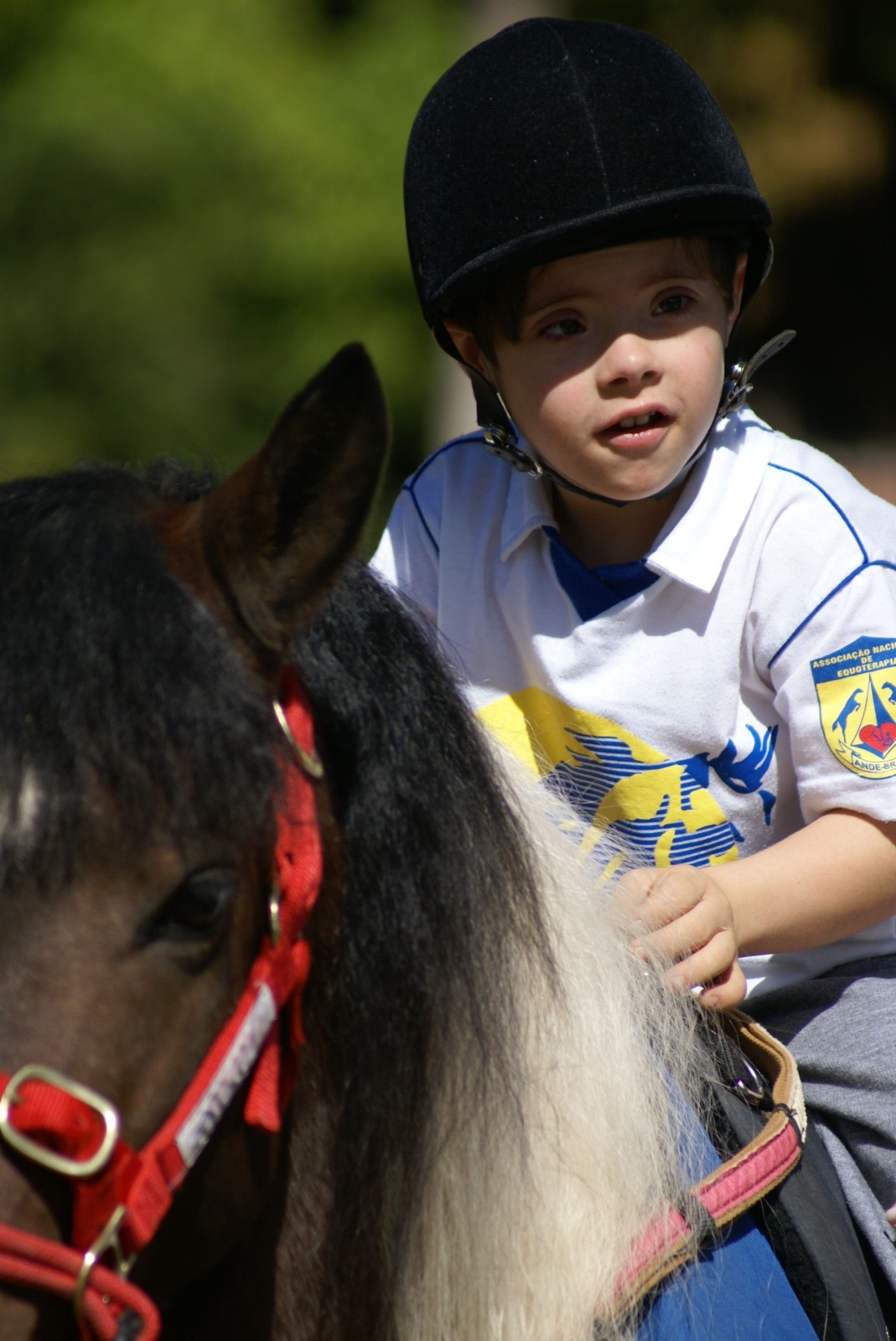 A young boy with Down syndrome in a riding helmet sitting on a pony